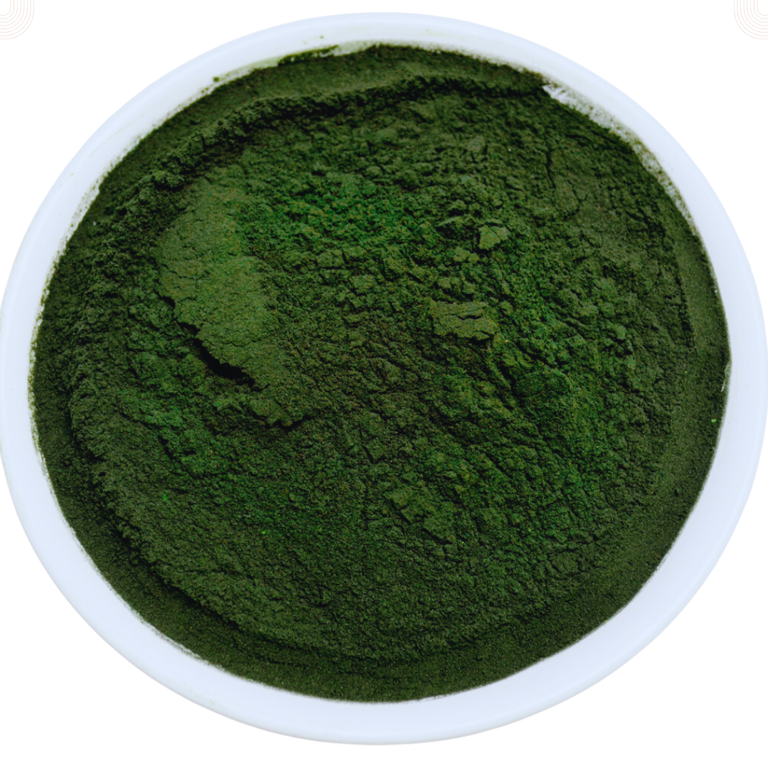 Spirulina (Blue-Green Algae) (Spirulina Platensis)
