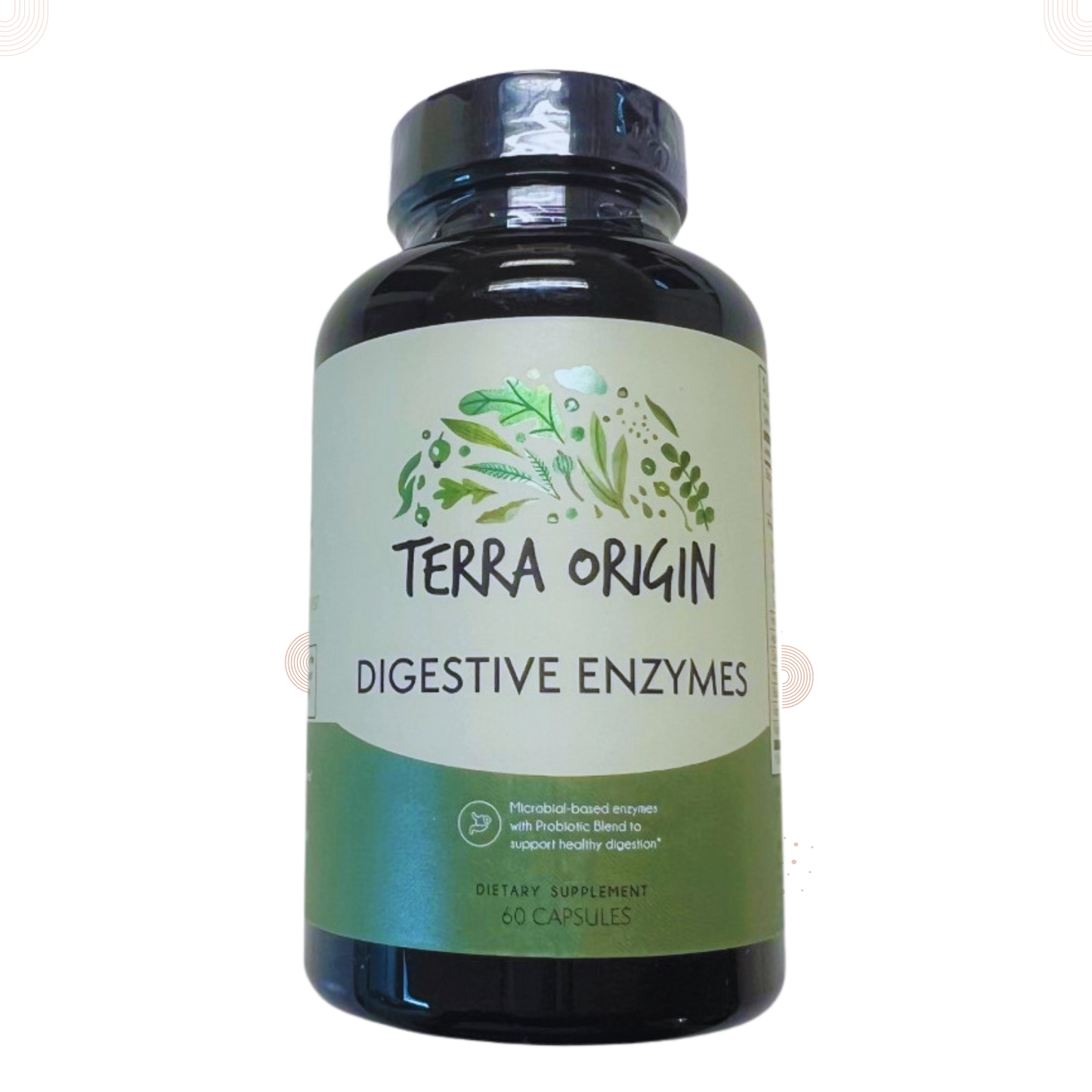 Digestive Enzymes